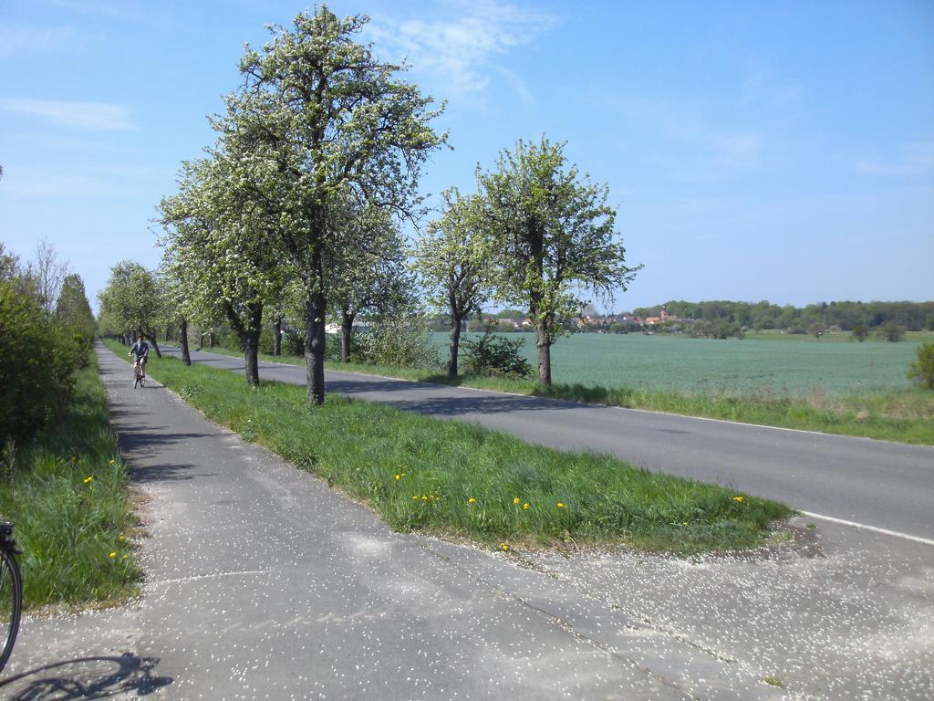 Storchennest Grosswudicke Exterior photo
