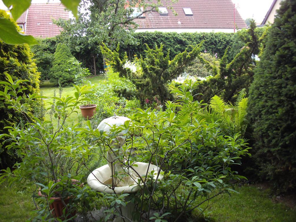Storchennest Grosswudicke Exterior photo